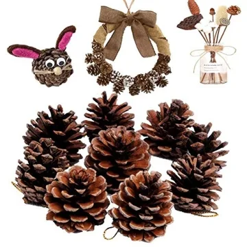 JOHOUSE Pine Cones 18 PCS for Christmas Rustic Decor