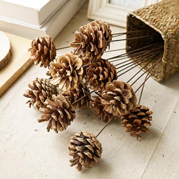 JOHOUSE Pine Cones 18 PCS for Christmas Rustic Decor