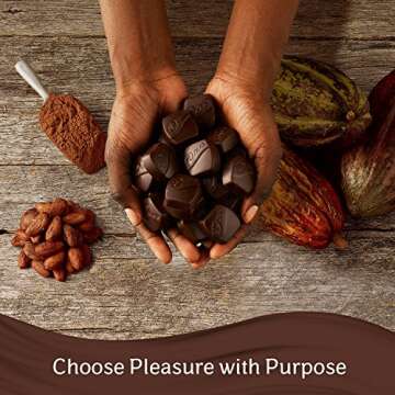 Dove Promises Dark Chocolate Candy 8.87-Ounce Bag