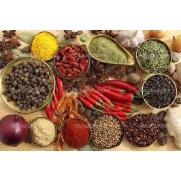 Kota Japan Large Granite Mortar & Pestle for Spices