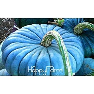 ENVIDESO 20pcs/Pack Vegetable Seeds, Perennial Rare Ornamental Edible Blue Jarrahdale Pumpkin Seed Exotic Blue Grey Coloring, 8Z6P0E