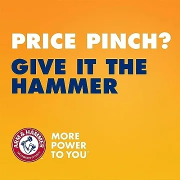 Arm & Hammer SLIDE Platinum Litter for Complete Odor Control