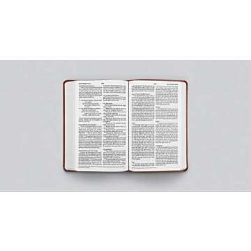 ESV Large Print Value Thinline Bible (TruTone, Tan, Ornament Design)