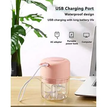 AYOTEE Cordless Electric Small Food Processor, Mini Food Chopper for Garlic Veggie Vegetables Fruit, Salad Mincing & Puree, Kitchen, 1Cup 250ML, BPA Free, Pink