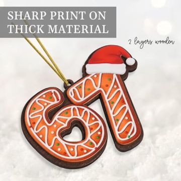 Humorous 67 Meme Christmas Ornament for 2025