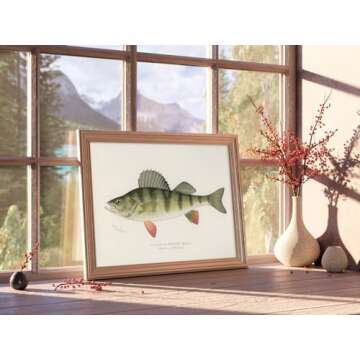 Fish Wall Art Prints (Set of 6) - Unframed - 8x10s | Vintage Fishing Decor - Reproductions of Vintag...