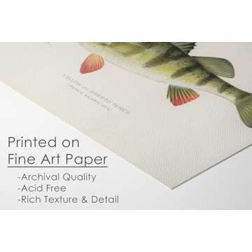 Fish Wall Art Prints (Set of 6) - Unframed - 8x10s | Vintage Fishing Decor - Reproductions of Vintage Fish Drawings - Midwest Fish Species - Great Gift for Fisherman