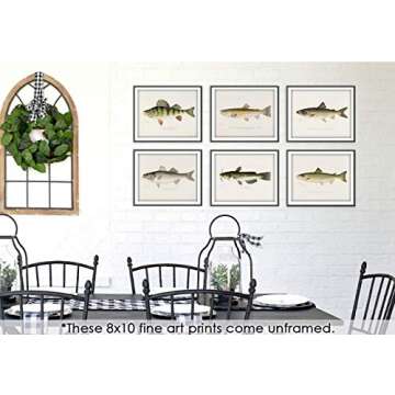 Fish Wall Art Prints (Set of 6) - Unframed - 8x10s | Vintage Fishing Decor - Reproductions of Vintage Fish Drawings - Midwest Fish Species - Great Gift for Fisherman