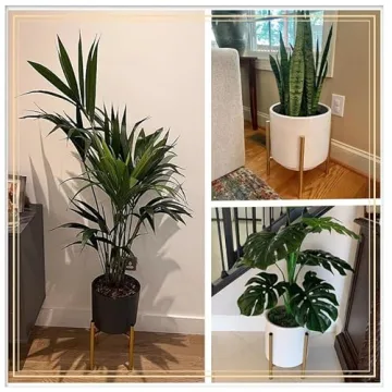 Adjustable Metal Plant Stand for 8" to 12" Pots