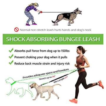 Hands Free Dog Leash for Running Walking Jogging Training Hiking, Retractable Bungee Dog Running Waist Leash for Medium to Large Dogs, Adjustable Waist Belt with Pack, Reflective Stitches, Dual Handle