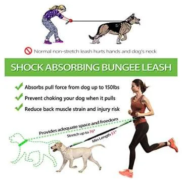 Hands Free Dog Leash for Running Walking Jogging Training Hiking, Retractable Bungee Dog Running Waist Leash for Medium to Large Dogs, Adjustable Waist Belt with Pack, Reflective Stitches, Dual Handle