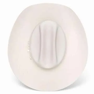 Stylish RESISTOL Cowboy Hat for All Occasions