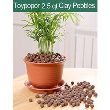 Expanded Hydroponic Clay Pebbles 2.5qt, 8mm-12mm, Natural Organic Flower Orchid Plant Grow Media, Po...