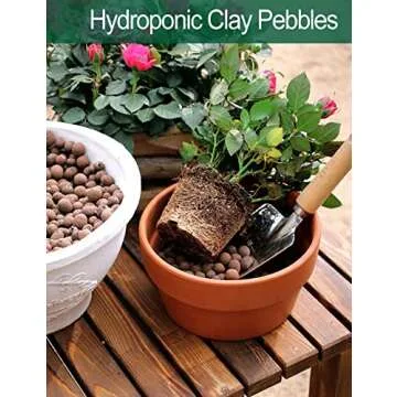 Expanded Hydroponic Clay Pebbles 2.5qt, 8mm-12mm, Natural Organic Flower Orchid Plant Grow Media, Porous Stones for Hydroponics, Drainage, Decoration, Aquaponics and Other Gardening Essentials