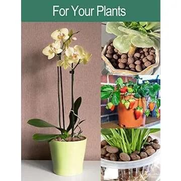 Expanded Hydroponic Clay Pebbles 2.5qt, 8mm-12mm, Natural Organic Flower Orchid Plant Grow Media, Porous Stones for Hydroponics, Drainage, Decoration, Aquaponics and Other Gardening Essentials