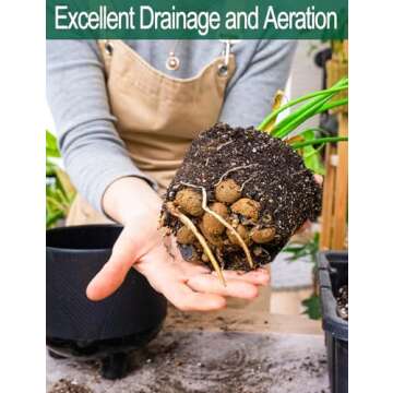 Expanded Hydroponic Clay Pebbles 2.5qt, 8mm-12mm, Natural Organic Flower Orchid Plant Grow Media, Porous Stones for Hydroponics, Drainage, Decoration, Aquaponics and Other Gardening Essentials