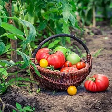 Augason Farms Vegetable Garden Seeds 13 Variety 1 lb No. 10 Can