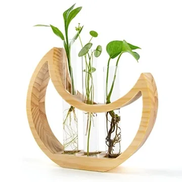 Ceiner Plant Propagation Station - Crescent Moon Design for Indoor Decor