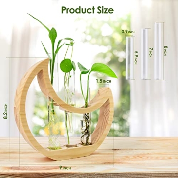 Ceiner Crescent Moon Plant Propagation Station for Indoor Decor