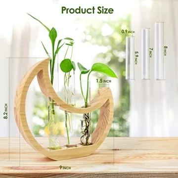 Ceiner Crescent Moon Plant Propagation Station for Indoor Decor