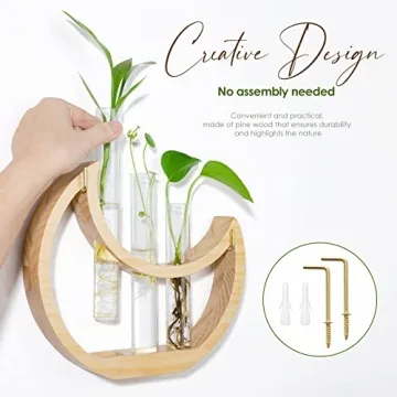 Ceiner Crescent Moon Plant Propagation Station for Indoor Decor