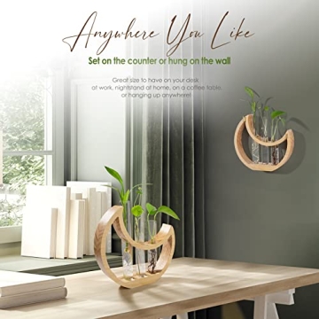 Ceiner Crescent Moon Plant Propagation Station for Indoor Decor