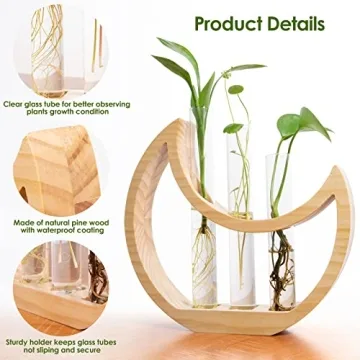 Ceiner Crescent Moon Plant Propagation Station for Indoor Decor