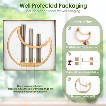 Ceiner Crescent Moon Plant Propagation Station for Indoor Decor