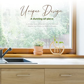 Ceiner Crescent Moon Plant Propagation Station for Indoor Decor