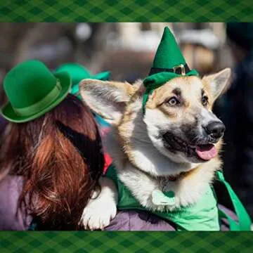 NAMSAN St Patrick's Day Pet Costume for Small Pets