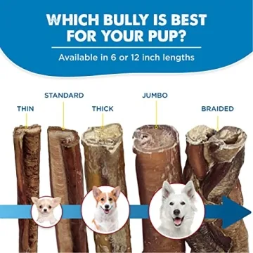 Best Bully Sticks - 6 Inch All-Natural Beef Dog Treats