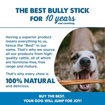 Best Bully Sticks - 6 Inch All-Natural Beef Dog Treats