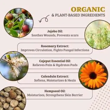 Natural Dog Company Paw Soother Balm for Dry Paws