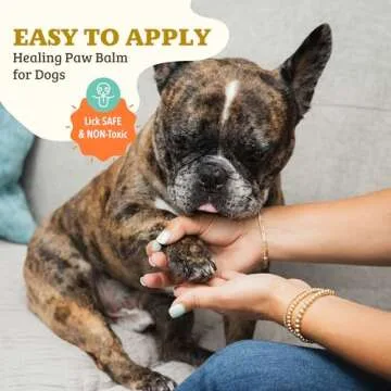 Natural Dog Company Paw Soother Balm for Dry Paws