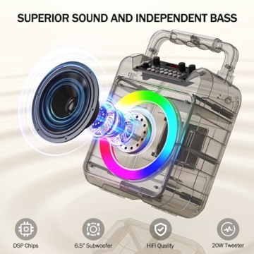 Karaoke Machine - Portable Bluetooth Speaker with 2 Wireless Microphones for Adults & Kids with Lights, PA System Speaker Supports TF Card/USB, AUX in, REC, Bass & Treble for Party/Meeting