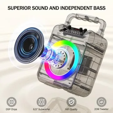 Karaoke Machine - Portable Bluetooth Speaker with 2 Wireless Microphones for Adults & Kids with Lights, PA System Speaker Supports TF Card/USB, AUX in, REC, Bass & Treble for Party/Meeting