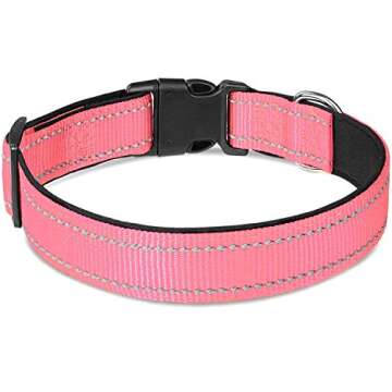 Joytale 12-16 inches Dog Collar and 6FT Leash, Reflective Soft Neoprene Padded Pet Collars and Leashes for Small Dog