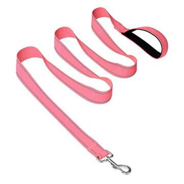 Joytale 12-16 inches Dog Collar and 6FT Leash, Reflective Soft Neoprene Padded Pet Collars and Leashes for Small Dog