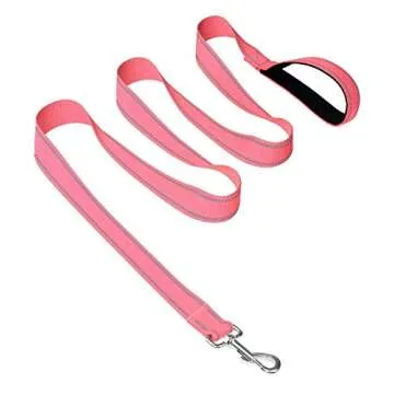 Joytale 12-16 inches Dog Collar and 6FT Leash, Reflective Soft Neoprene Padded Pet Collars and Leashes for Small Dog