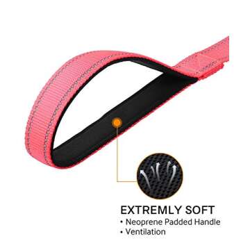 Joytale 12-16 inches Dog Collar and 6FT Leash, Reflective Soft Neoprene Padded Pet Collars and Leashes for Small Dog