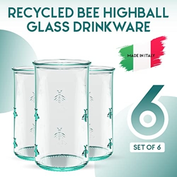 Amici Home Regina Hiball Glasses Set - Eco-Friendly Drinkware