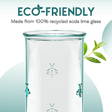 Amici Home Regina Hiball Glasses Set - Eco-Friendly Drinkware