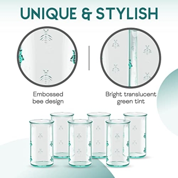 Amici Home Regina Hiball Glasses Set - Eco-Friendly Drinkware
