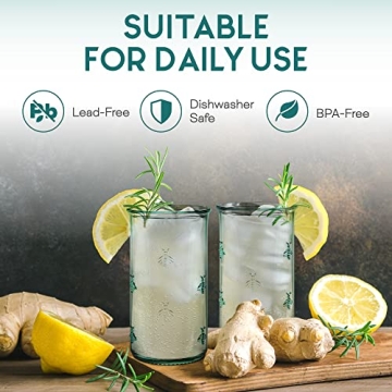 Amici Home Regina Hiball Glasses Set - Eco-Friendly Drinkware