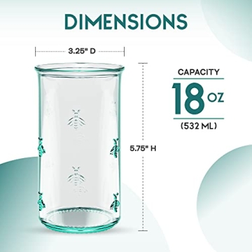 Amici Home Regina Hiball Glasses Set - Eco-Friendly Drinkware