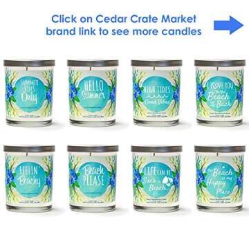 Beach Please, Beach Lover Gifts for Women, Beach Candle, Beach Gifts for Women Friends, Ocean Themed Candle,Beach House décor for Best Friends, Lovers of The Ocean, Sand, sea, Pool or Lake.