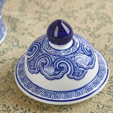 GaLouRo Blue and White Ginger Jars for Home Décor,Small Chinoiserie Porcelain, Good Ideal for Room, Office Decoration,9.8" H