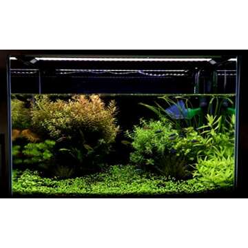 Finnex Stingray 16" Aquarium LED Light for Vibrant Growth