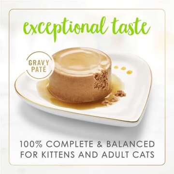 Fancy Feast Purina Gravy Lovers Salmon Feast Pate in Wet Cat Food Gravy - (Pack of 24) 3 oz. Cans