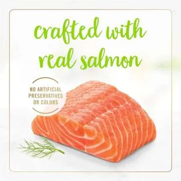 Fancy Feast Purina Gravy Lovers Salmon Feast Pate in Wet Cat Food Gravy - (Pack of 24) 3 oz. Cans